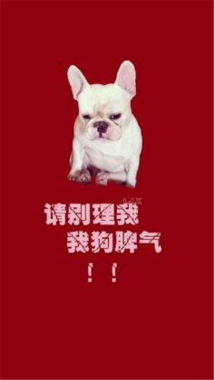 个性意境欧美男生头像集锦