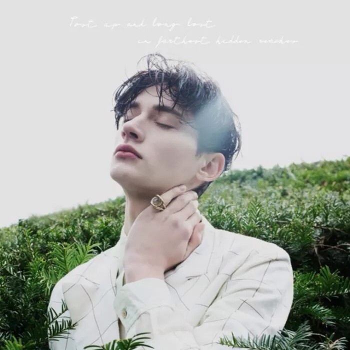 欧美帅气男生精选意境头像