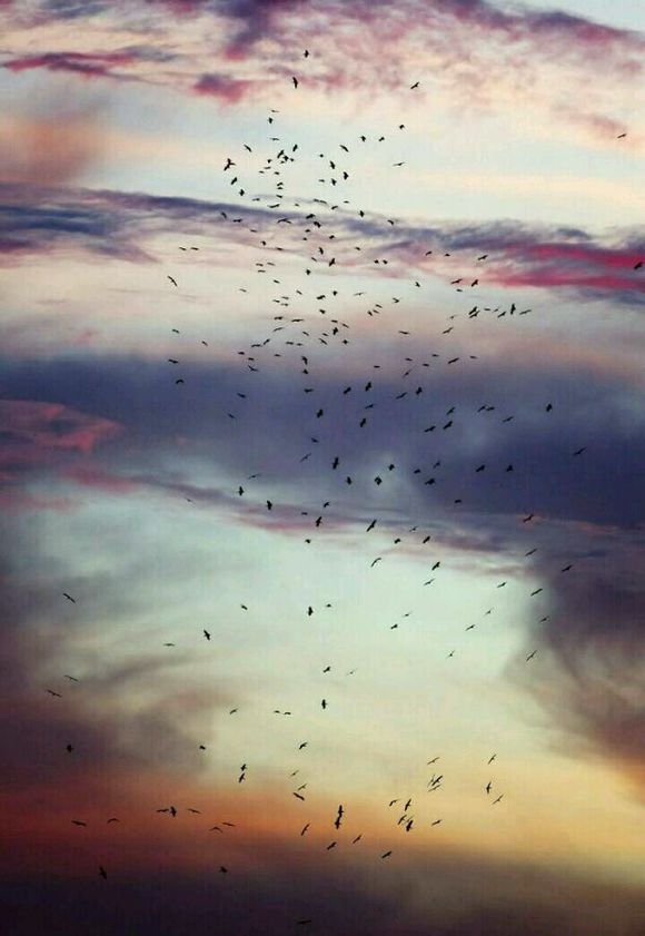 欧美唯美意境手机壁纸