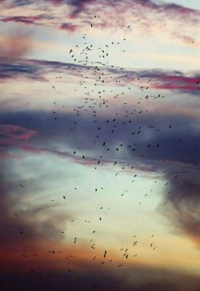 欧美唯美意境手机壁纸