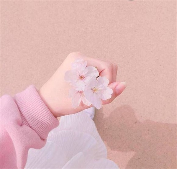 粉色樱花欧美唯美意境图片