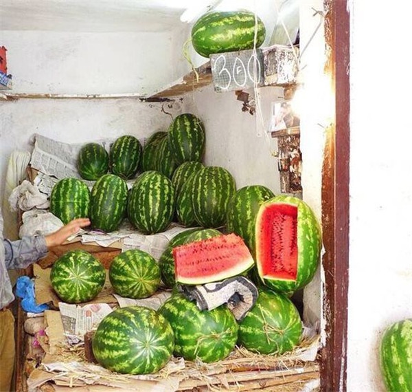 夏日丰收欧美情感意境图片