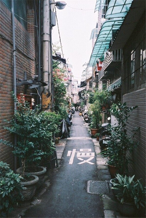 街拍欧美风意境图片集锦