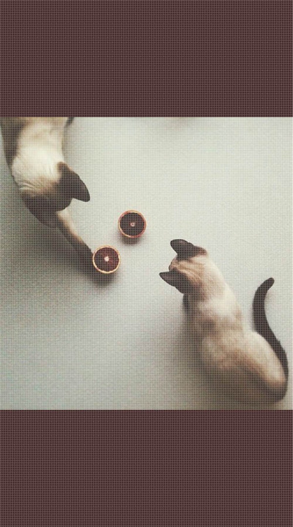 2017最新欧美男意境大图