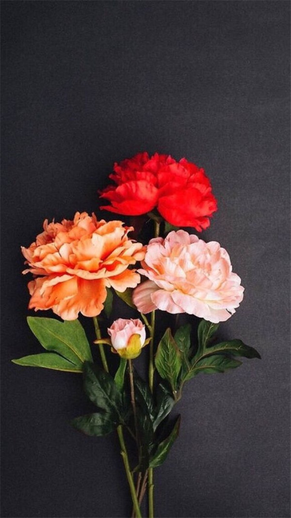 浪漫鲜花欧美女生意境图