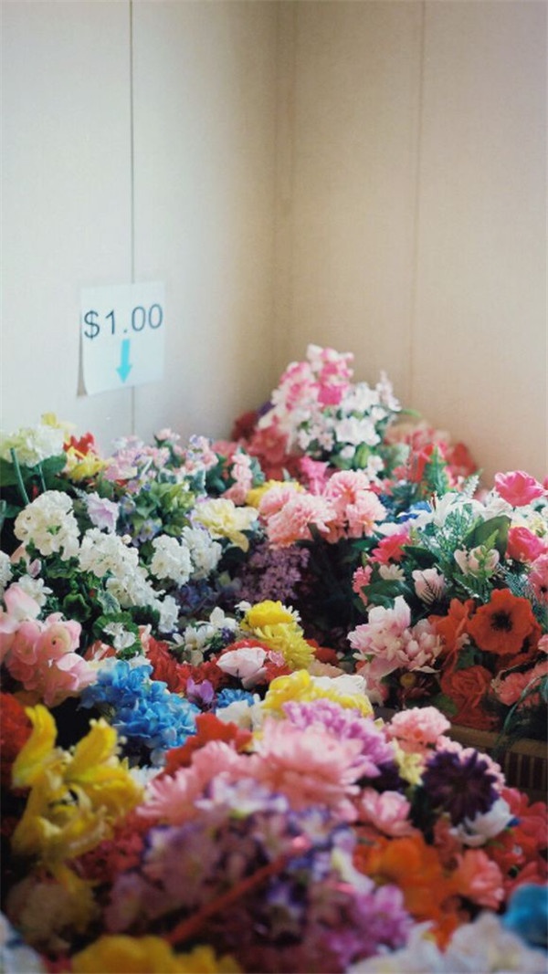 浪漫鲜花欧美女生意境图