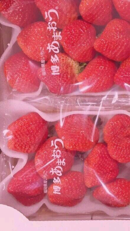 手机壁纸欧美范男孩高清图片