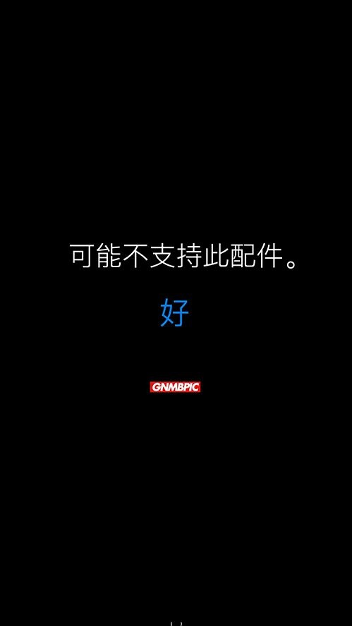 个性欧美范黑白手机壁纸