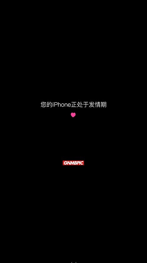 个性欧美范黑白手机壁纸