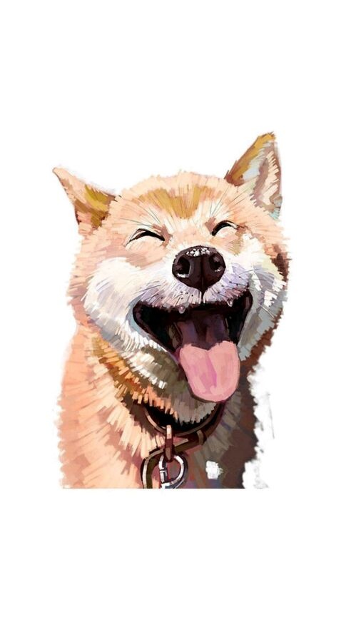 萌萌哒搞怪欧美范个性图片