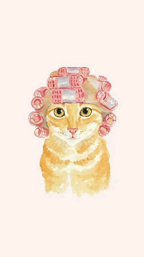 可爱搞怪的欧美范高清图片