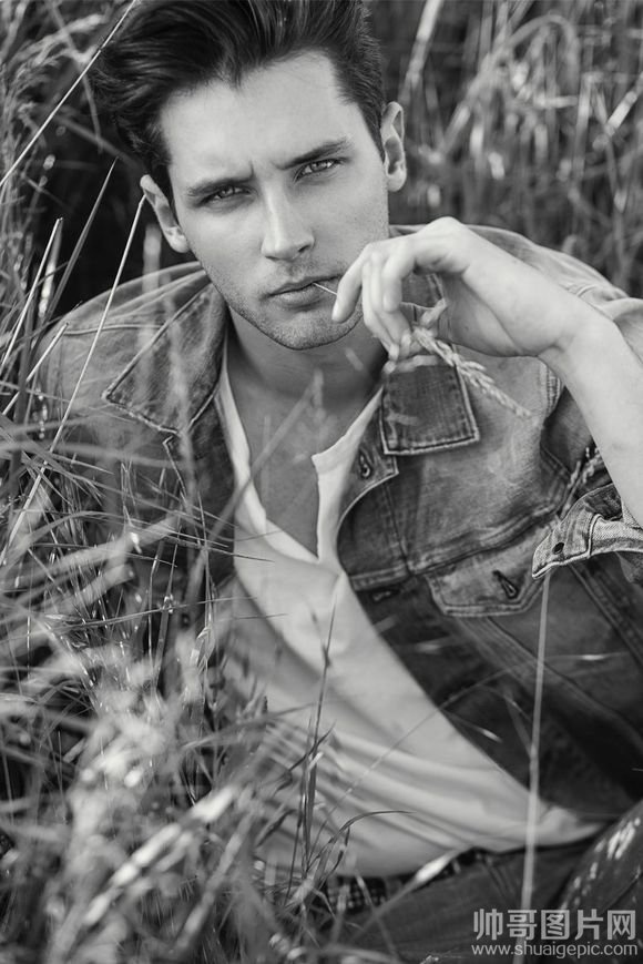 型男欧美帅哥高清壁纸图片