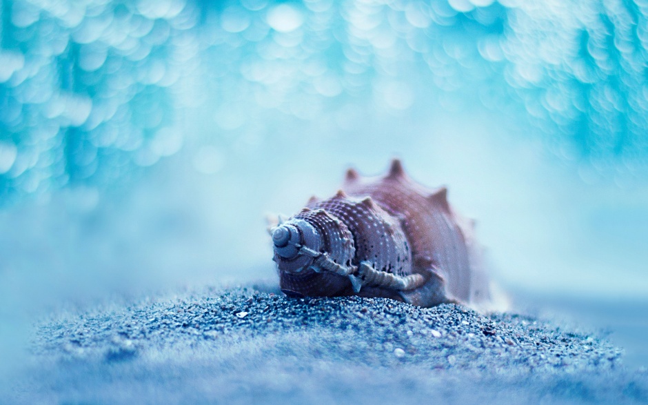 欧美意境非主流高清壁纸