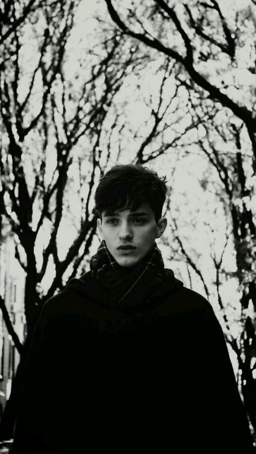 超唯美的欧美范个性桌面壁纸