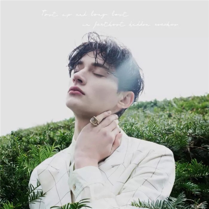 清新帅气的欧美意境男图