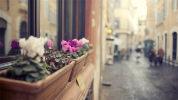 QQ空间专用欧美意境清新壁纸