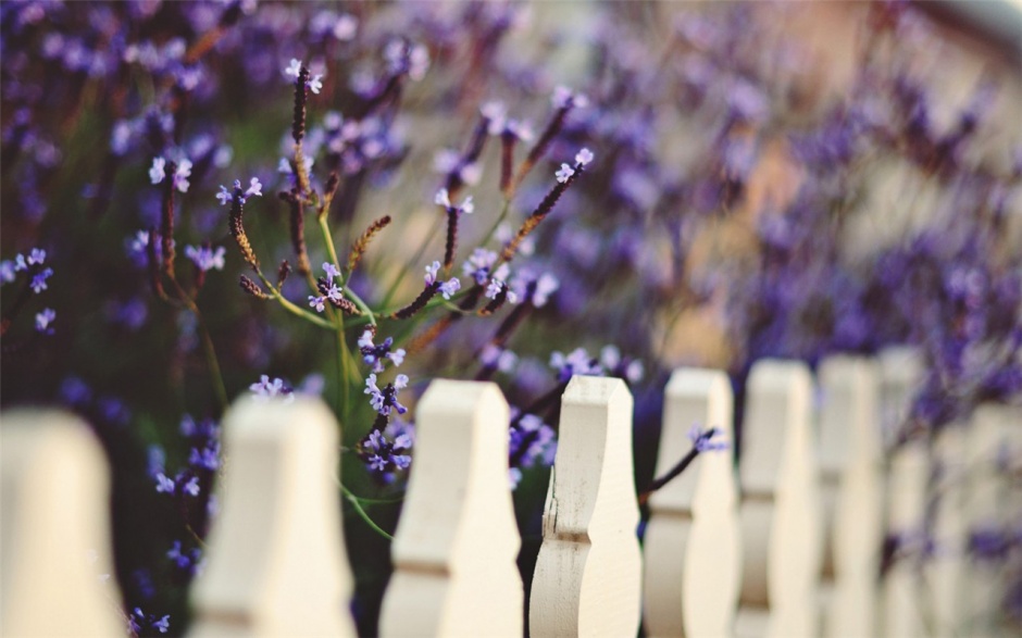 QQ空间专用欧美意境清新壁纸