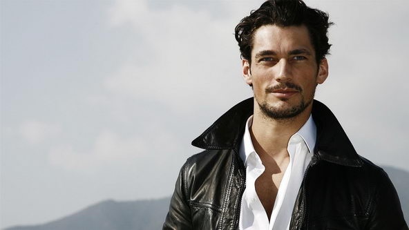 欧美帅哥模特大卫甘迪西服写真壁纸图片