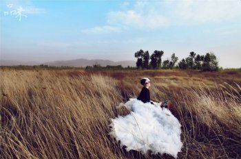 唯美意境欧美范婚纱照壁纸