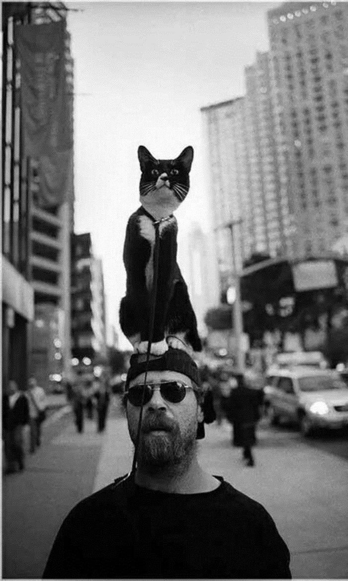 高冷风欧美范唯美黑白壁纸