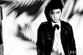 中国男明星陈晓黑白写真大片