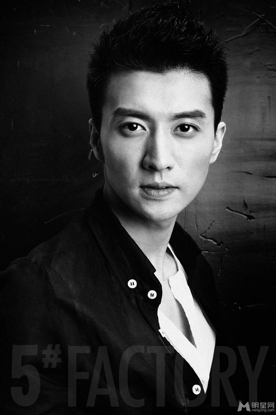 中国男明星高仁最新黑白写真照