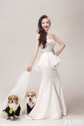 甄嬛传演员孙茜抱萌宠拍时尚大片