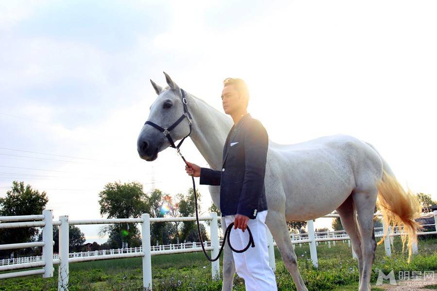 台湾明星明道帅气绅士图片