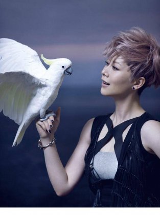 海清公益时尚大片造型写真