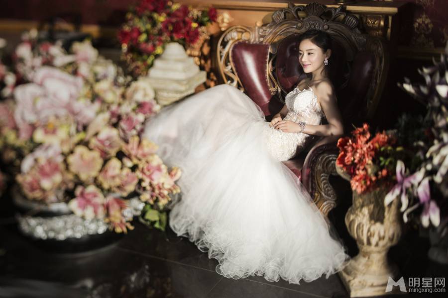 袁姗姗婚纱照图片似待嫁新娘