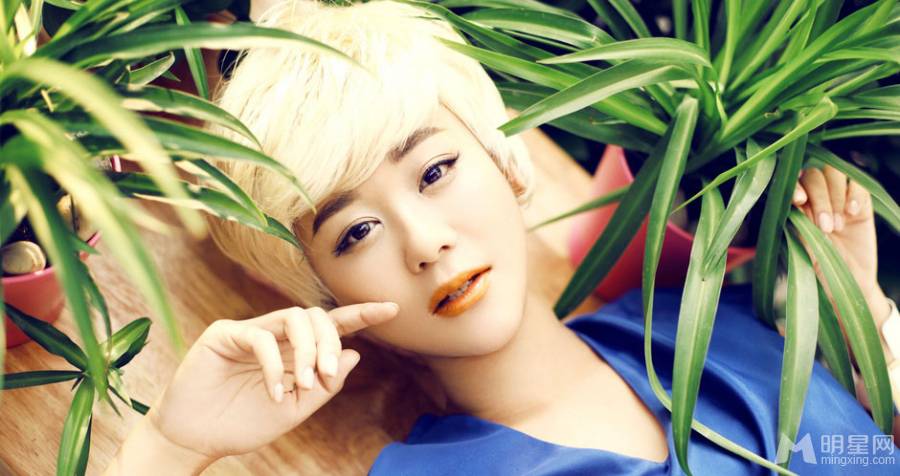 河南郑州明星海陆银发造型超吸睛