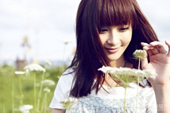 美女明星姚笛夏日花海唯美写真