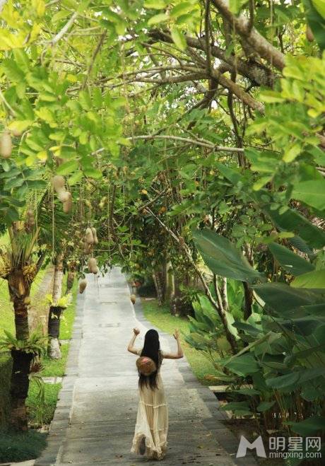 民间第一美女张辛苑巴厘岛写真集