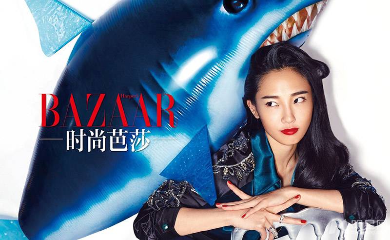 陈羽凡老婆白百何俏皮性感集于一身