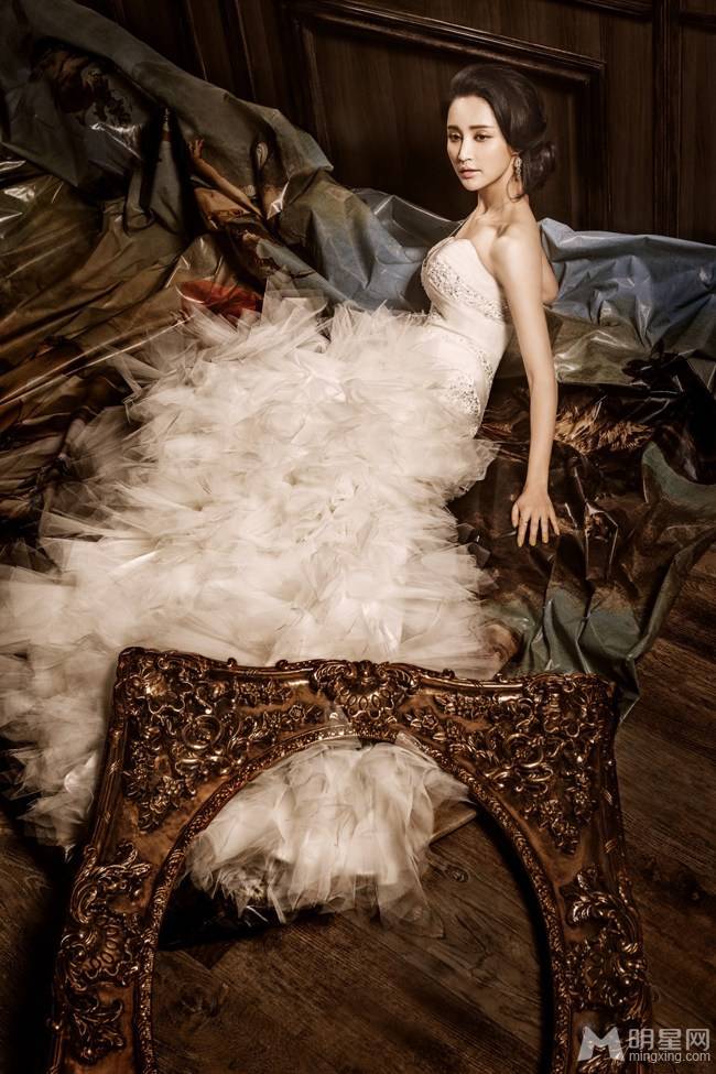 张歆艺尽显复古名媛风图片