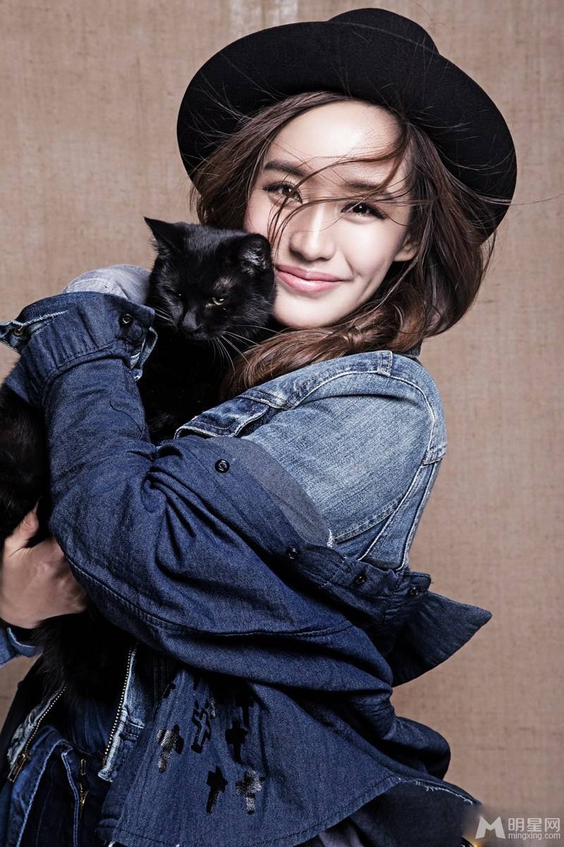 内地女演员王智与黑猫有爱互动