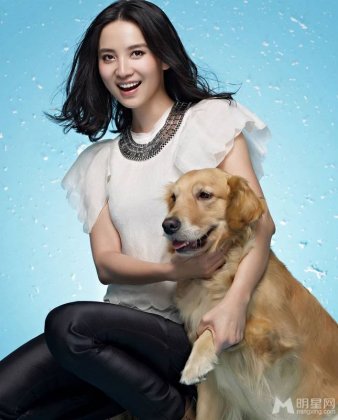 中国80后女演员小宋佳携金毛犬拍写真