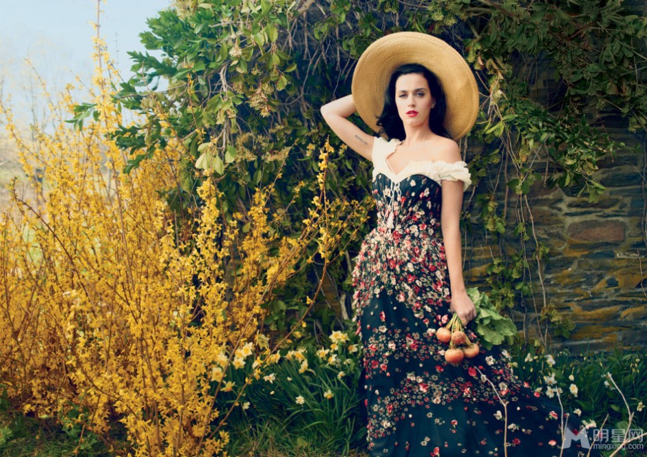 美国美女歌手凯蒂佩里微露酥胸乡村风