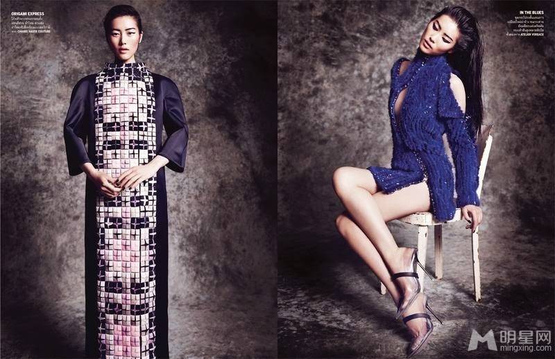 中国名模刘雯霸气登上时尚杂志封面