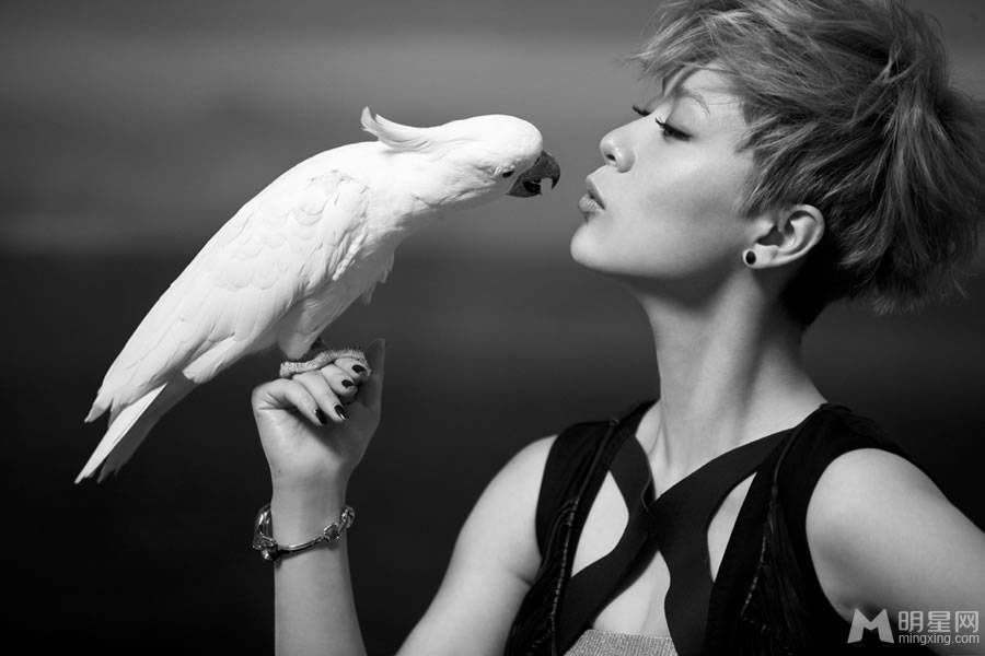 中国女演员海清时尚环保公益宣传照