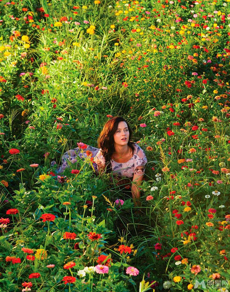 凯蒂·佩里演绎浪漫风情唯美花海写真