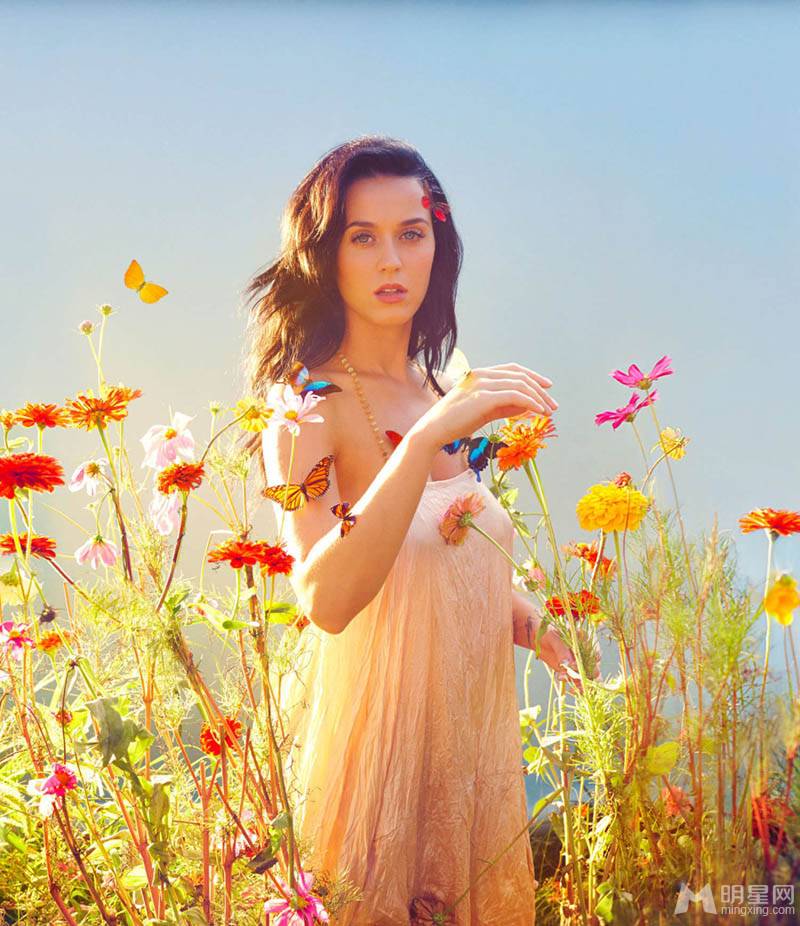 凯蒂·佩里演绎浪漫风情唯美花海写真