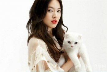 性感韩星宋慧乔携萌猫拍摄温馨有爱照