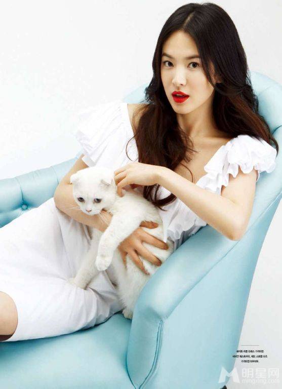 性感韩星宋慧乔携萌猫拍摄温馨有爱照