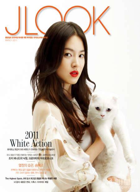 性感韩星宋慧乔携萌猫拍摄温馨有爱照