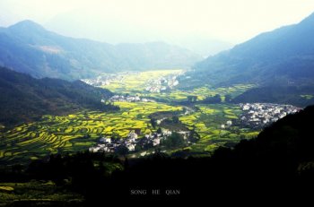 明媚春天风景图片 春暖花开的季节