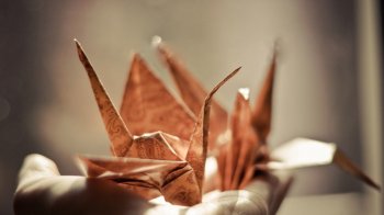 优美图案纸鹤壁纸