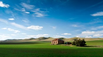 一望无际清新自然草原桌面壁纸下载