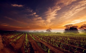 高清壮观美丽风景电脑桌面壁纸第二辑