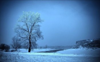 冰霜雪景电脑壁纸下载